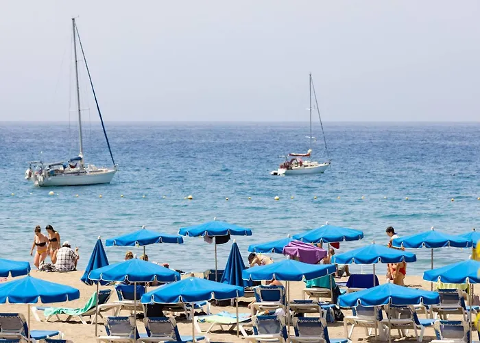 Live Cristianos Square *