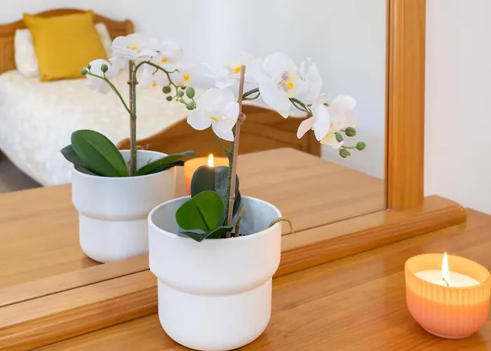 Lägenhet Live Cristianos Square Los Cristianos (Tenerife)