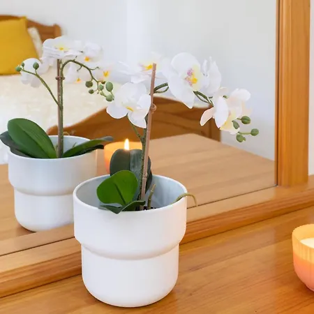 Appartement Live Cristianos Square Los Cristianos (Tenerife)